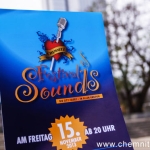 Festival of Sounds 2013